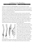 HOMOLOGOUS STRUCTURES CC Reading