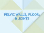 08-Pelvic wall, joints and floor