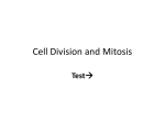 Cell division and Mitosis HONORS