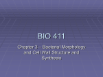 BIO 221