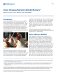 Avian Diseases Transmissible to Humans - EDIS