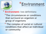 Environment - Effingham County Schools