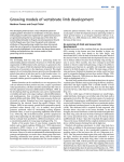 Growing models of vertebrate limb development - ICB-USP