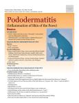 Pododermatitis