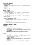 Protein Synthesis: An Overview • there are two stages