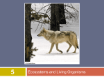 Ecosystems and Living Organisms