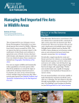 Managing Red Imported Fire Ants in Wildlife Areas