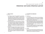 II the second week of life bilaminar and early trilaminar period