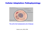 CELLULAR ADAPTATION