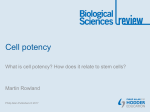 Revision: Cell potency