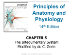 File - Physiology At Large