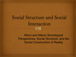 Social Structure and Social Interaction