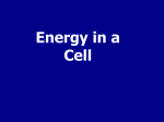 Energy in the cell