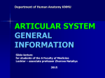 ARTICULAR SYSTEM