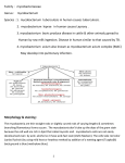 Zoonotic disease unit