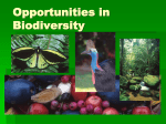 What is biodiversity? - Russell River Catchment