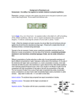 Homeostasis - the ability or tendency of an organism or cell to