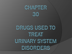 Drugs Used to Treat Urinary System Disorders