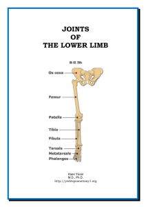 Dr.Kaan Yücel http://yeditepeanatomy1.org Joints of the lower limb