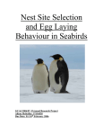 Nest site selection and egg laying behaviour in