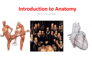 Introduction to Anatomy