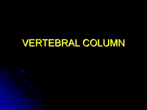 VERTEBRAL COLUMN