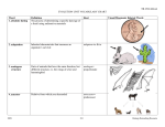 BCPS Biology Reteaching Guide Evolution Vocab Chart