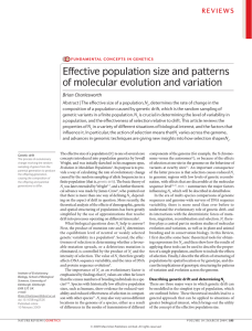 Effective population size and patterns of molecular evolution and