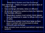 Respiratory System and Gas Exchange