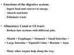 digestion ap - Milan Area Schools