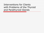 Thyroid and Parathyroid glands