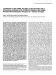 Localization of the GABA, Receptor in the Rat Brain with a