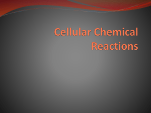 Cellular Chemical Reactions