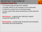 Monosaccharide