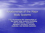 7-3.3 Summarize the relationships of the major body systems