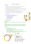 Cell Cycle 1