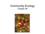 Community Ecology Chapter 56