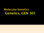 1 Molecular Genetics