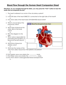 Blood Flow through the Human Heart Companion Sheet