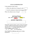 Honors Biology Chapter 6 CELLULAR RESPIRATION 2-27