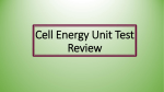 Cell Energy Test Review PowerPoint