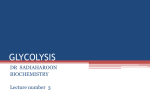 GLYCOLYSIS (1).