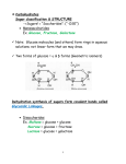 Carbohydrates