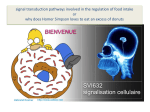 1 Food intake regulation