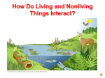 How do Living and Nonliving Things Interact? PowerPoint