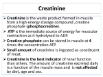 creatinine, urea and