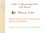 Cells 1.1 Discovering Cells: Cell Theory