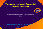 The global burden of Congenital Rubella Syndrome