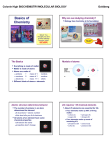 Basics of Chemistry