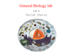 General Biology lab